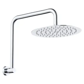 Fienza Kaya Gooseneck Shower Arm Set Chrome