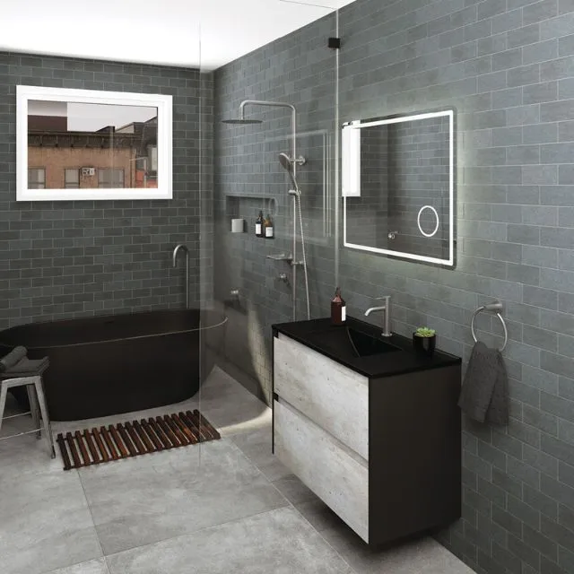 Fienza Kaya Twin Rail Shower Gun Metal