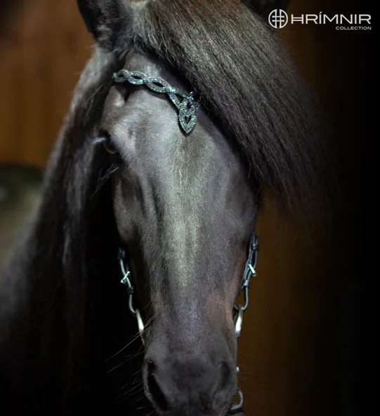 Hrimnir Headstall with black stones