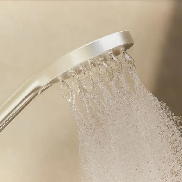 Phoenix Tapware Ormond Rail Shower Brushed Carbon