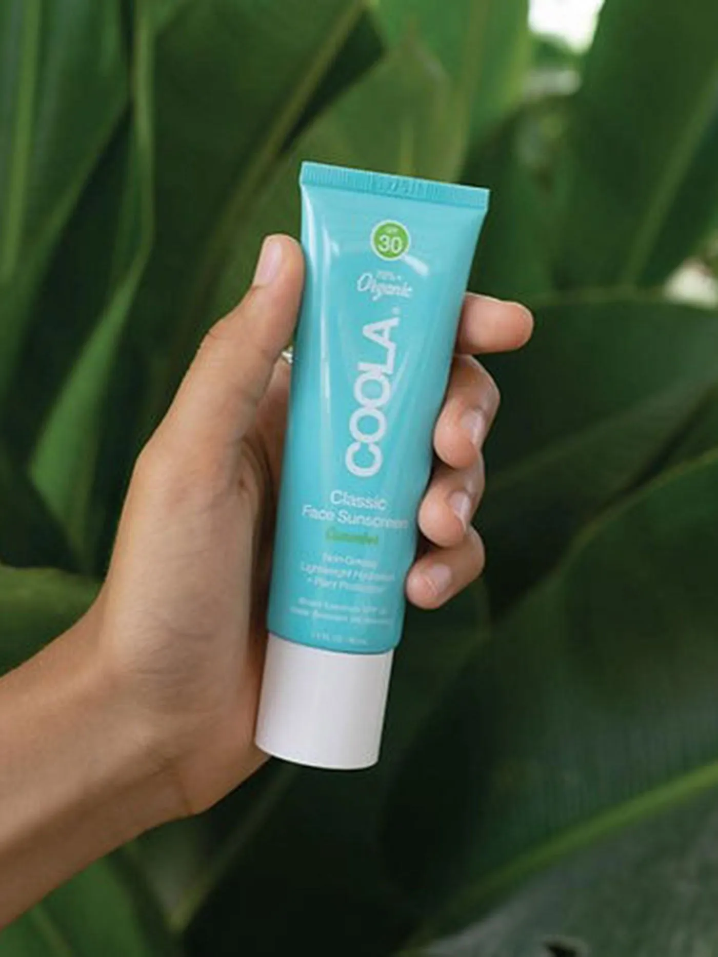 SPF30 Cucumber Face Lotion