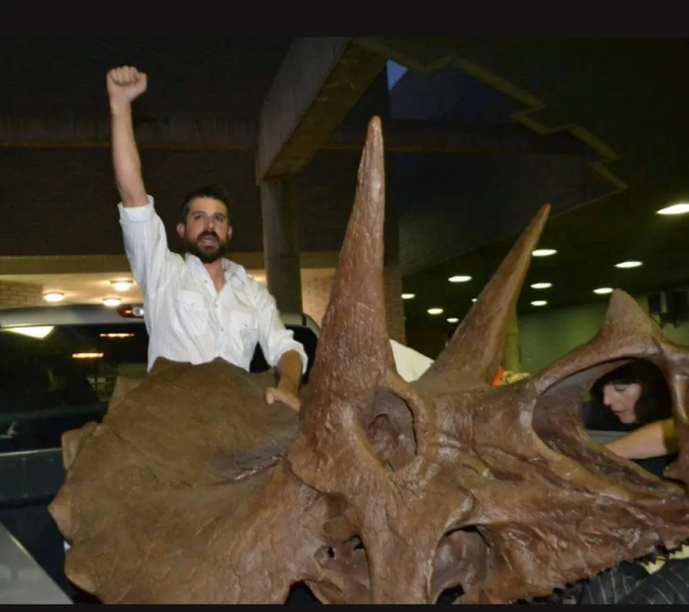 Triceratops skull cast replica reproduction for sale
