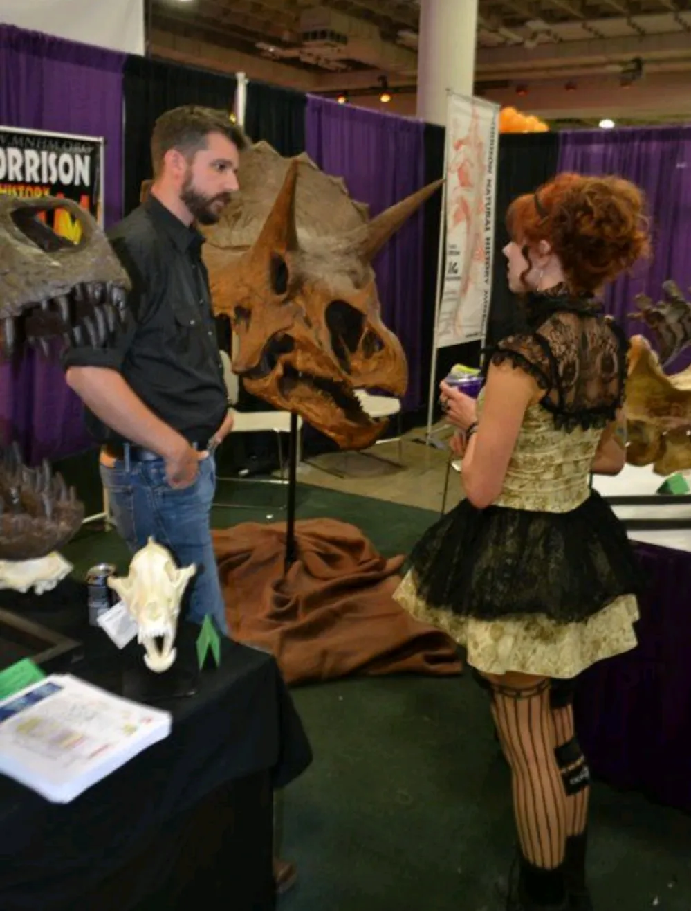 Triceratops skull cast replica reproduction for sale